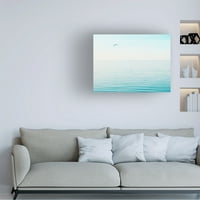 Jamesејмс Меклафлин 'Seascape Photo Vi' Canvas Art