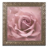 Трговска марка ликовна уметност „Misty Rose Rose Pink Rose“ Canvas Art by Cora Niele, златна украсна рамка