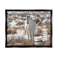 Зимски снежен коњ животински свет животни и инсекти Фотографија etет Црна врамена уметничка печатена wallидна