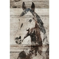 Мармонт Хил Пиколино коњ од Ирена Орлов Сликарство на печатење на завиткано платно