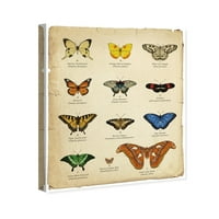 Wynwood Studio Animals Wall Art Canvas Prints 'Butterfly Chart Chart' инсекти - кафеава, сина боја