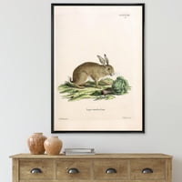 Дизајн на „Антички зајаци во Земјата Тонови“ Фарма куќа врамена платно за печатење на wallидни уметности