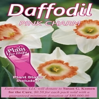 Euroblooms daffodil розов шарм, розова