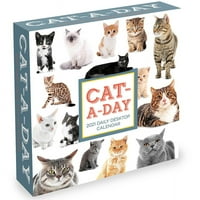 Мачка на ден 5,5 x5.5 Дневен календар на десктоп - Лесил