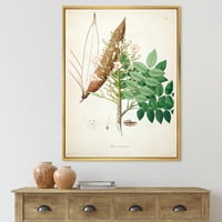Дизајн на „Антички ботаники ix“ фарма куќа врамена платно wallидна уметност печатење