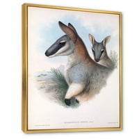 Антички кенгур врамено сликарско платно уметничко печатење